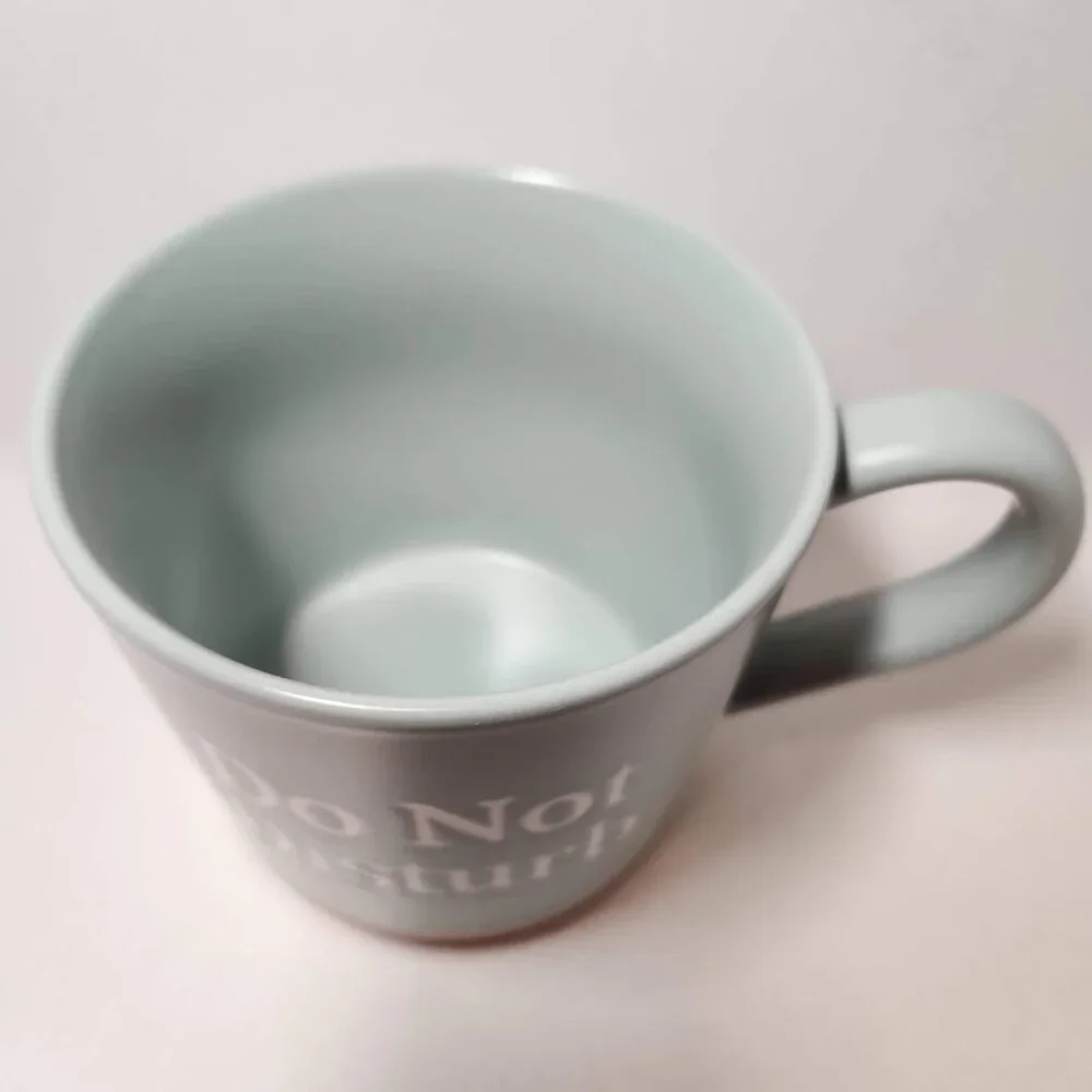 NEW DO NOT DISTURB Coffee Tea Mug Cup 15 Oz Stoneware Mint & Brown By Threshold